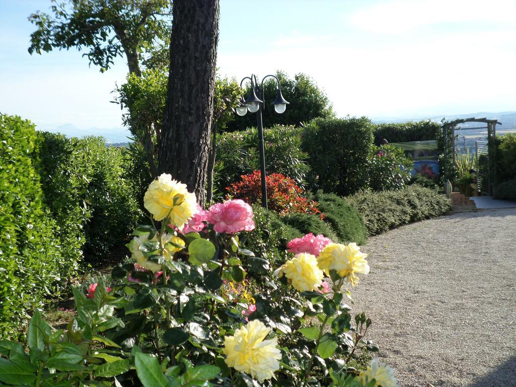 Bed And Breakfast " Il Tesoro Di Mario " 法尔科纳拉·玛里提马 外观 照片